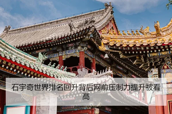 石宇奇世界排名回升背后网前压制力提升被看高