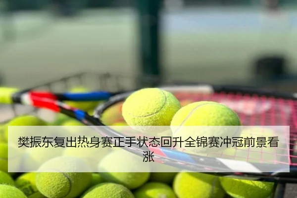 樊振东复出热身赛正手状态回升全锦赛冲冠前景看涨