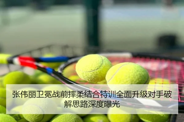 张伟丽卫冕战前摔柔结合特训全面升级对手破解思路深度曝光